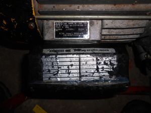 C:\fakepath\DSCN3990