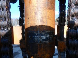 C:\fakepath\DSCN4817