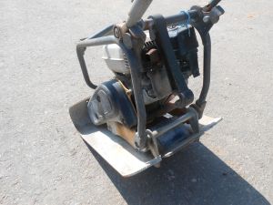 C:\fakepath\DSCN5099