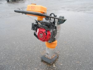 C:\fakepath\DSCN5380