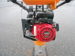 C:\fakepath\DSCN5381