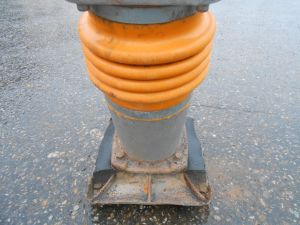 C:\fakepath\DSCN5382