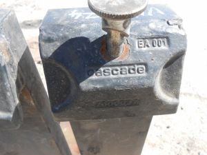 C:\fakepath\DSCN5486