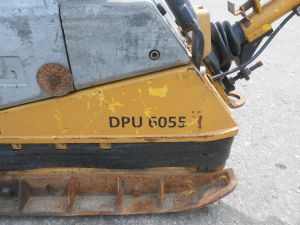 C:\fakepath\DSCN5815