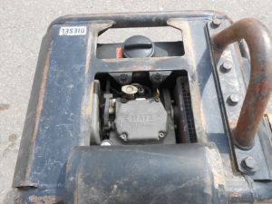 C:\fakepath\DSCN5817