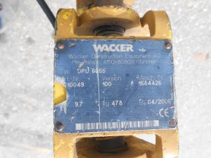 C:\fakepath\DSCN5816