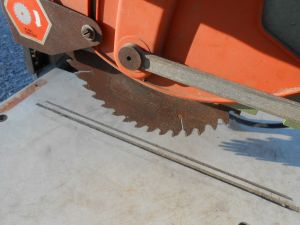 C:\fakepath\DSCN6454