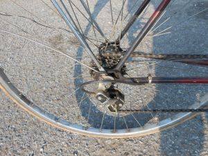 C:\fakepath\DSCN6938