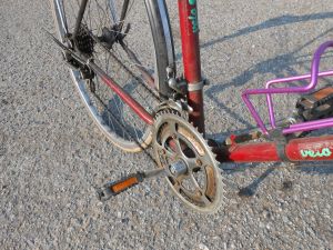 C:\fakepath\DSCN6939