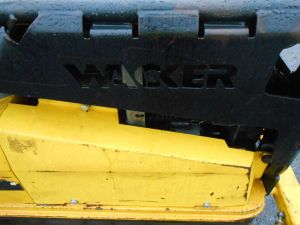 C:\fakepath\DSCN7560