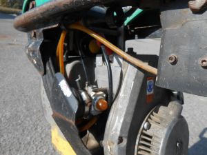 C:\fakepath\DSCN7528