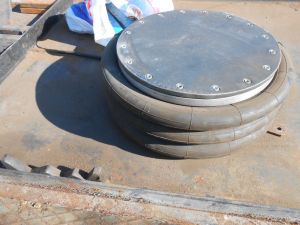 C:\fakepath\DSCN7387