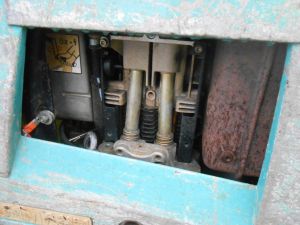 C:\fakepath\DSCN8135