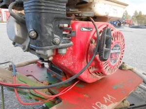 C:\fakepath\DSCN8225