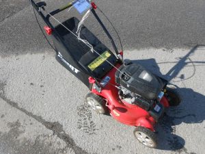 C:\fakepath\DSCN3077