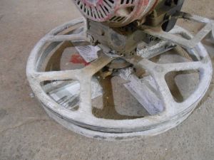 C:\fakepath\DSCN3444