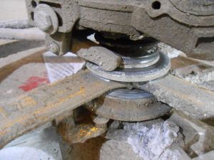 C:\fakepath\DSCN3447