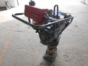 C:\fakepath\DSCN3941