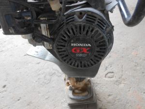 C:\fakepath\DSCN3943