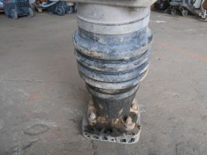 C:\fakepath\DSCN3944