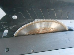 C:\fakepath\DSCN4142