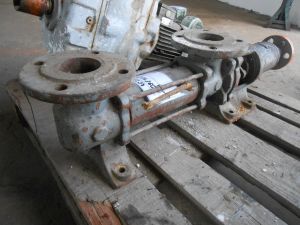 C:\fakepath\DSCN4241