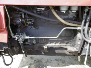 C:\fakepath\P1000732