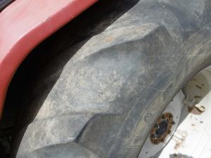 C:\fakepath\P1000744