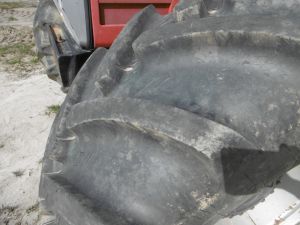 C:\fakepath\P1000745