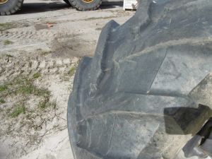 C:\fakepath\P1000746