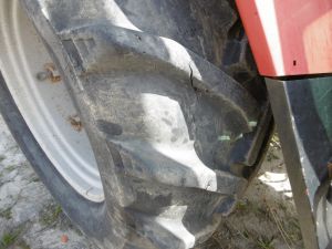 C:\fakepath\P1000747