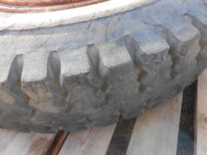 C:\fakepath\DSCN4455