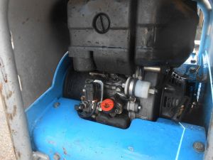 C:\fakepath\DSCN2948