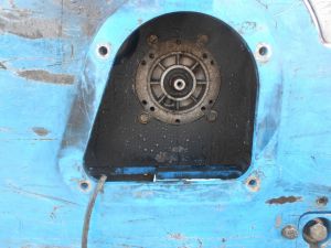 C:\fakepath\DSCN2951