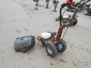 C:\fakepath\DSCN4912