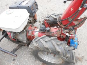 C:\fakepath\DSCN4913