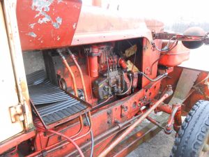 C:\fakepath\DSCN4248