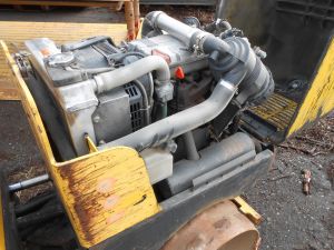 C:\fakepath\DSCN4511