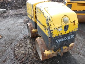 C:\fakepath\DSCN4504