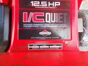 C:\fakepath\DSCN4919