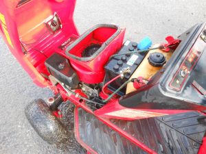 C:\fakepath\DSCN4920