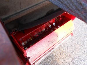 C:\fakepath\DSCN4921