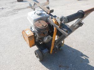 C:\fakepath\DSCN5073