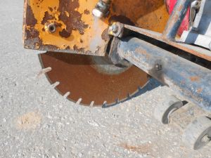 C:\fakepath\DSCN5075