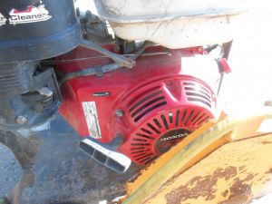 C:\fakepath\DSCN5077