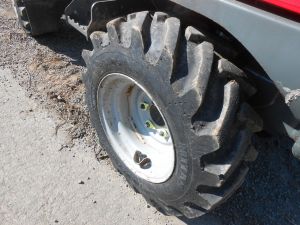 C:\fakepath\DSCN5767