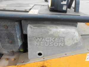 C:\fakepath\DSCN5978