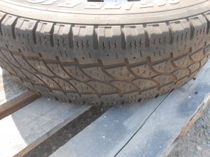 C:\fakepath\DSCN6207