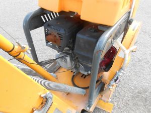 C:\fakepath\DSCN7920