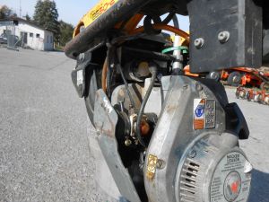 C:\fakepath\DSCN7517